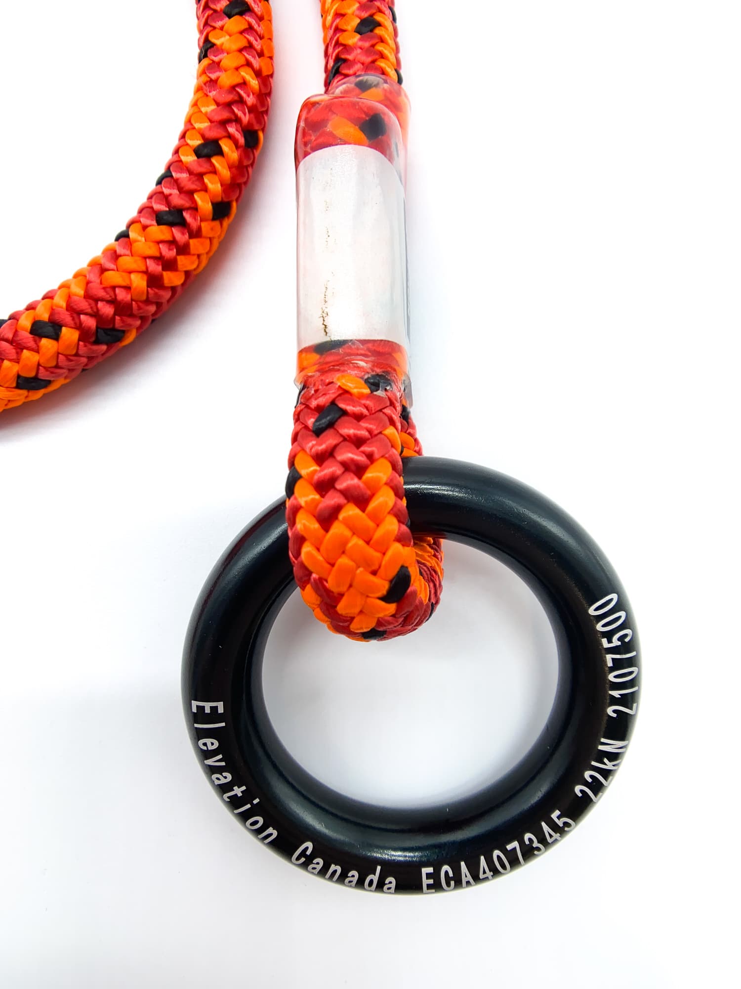 PROTÈGE CAMBIUM CORDE - 36 PO