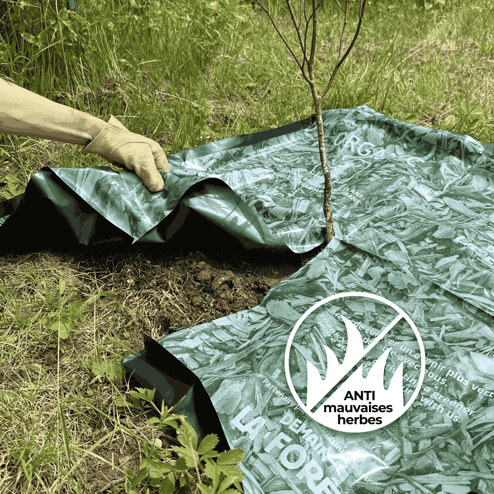 PAILLIS BIODEGRADABLE 3 ANS QTE 250 ET PLUS